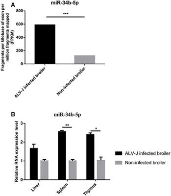 MiR-34b-5p Suppresses Melanoma Differentiation-Associated Gene 5 (MDA5) Signaling Pathway to Promote Avian Leukosis Virus Subgroup J (ALV-J)-Infected Cells Proliferaction and ALV-J Replication